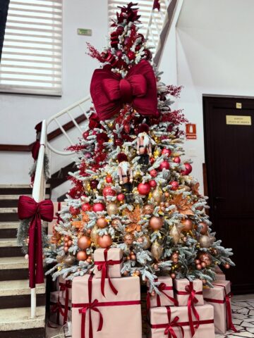 Queen Concept Flowers: Brazi de închiriat, decorațiuni spectaculoase și amenajări de Crăciun