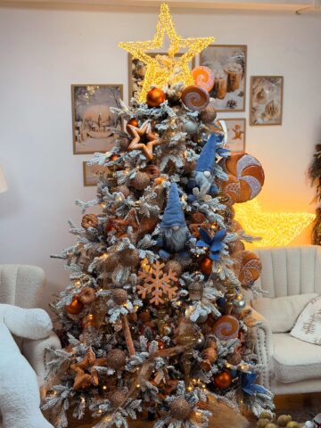 Queen Concept Flowers: Brazi de închiriat, decorațiuni spectaculoase și amenajări de Crăciun