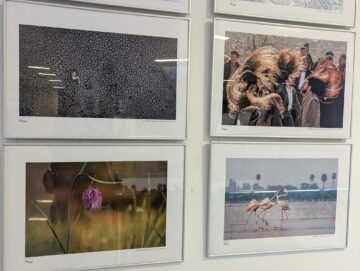 Participare record la Salonul Internațional de Artă Fotografică „Bucovina Mileniul III”, ediția a XXI-a