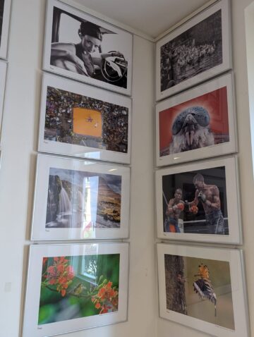 Participare record la Salonul Internațional de Artă Fotografică „Bucovina Mileniul III”, ediția a XXI-a