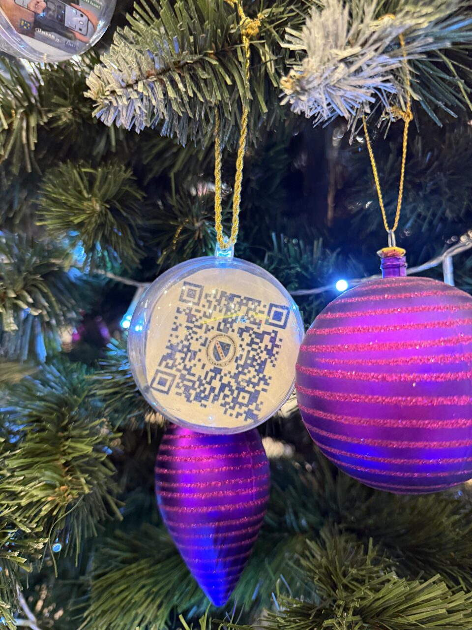 ”Bradul Prevenirii”, amenajat de polițiști la parterul Iulius Mall