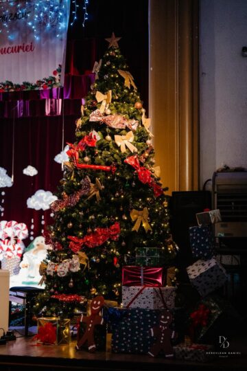 „Crăciunul – sărbătoarea bucuriei” – un spectacol dedicat generozității și spiritului civic la Colegiul „E. Hurmuzachi”