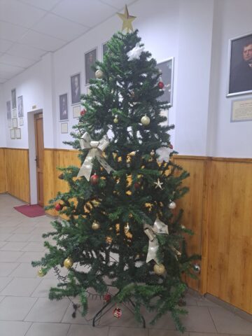 Concursul brazilor de Crăciun, la Colegiul „Spiru Haret” Suceava