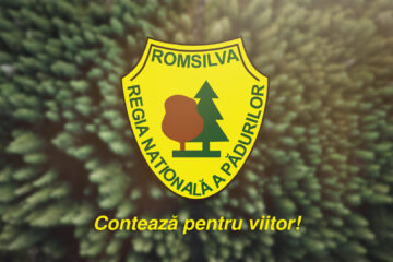 RNP – Romsilva solicită ca reorganizarea să fie bazată pe un studiu solid de impact