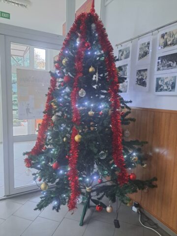 Concursul brazilor de Crăciun, la Colegiul „Spiru Haret” Suceava