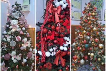 Concursul brazilor de Crăciun, la Colegiul „Spiru Haret” Suceava Concursul brazilor de Crăciun, la Colegiul „Spiru Haret” Suceava