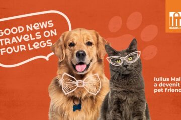 Experiențe pentru întreaga familie, inclusiv pentru căței și pisici, la Iulius Mall Suceava