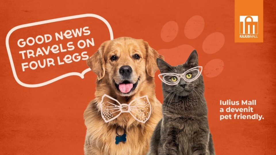 Experiențe pentru întreaga familie, inclusiv pentru căței și pisici, la Iulius Mall Suceava Experiențe pentru întreaga familie, inclusiv pentru căței și pisici, la Iulius Mall Suceava