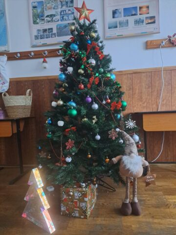 Concursul brazilor de Crăciun, la Colegiul „Spiru Haret” Suceava