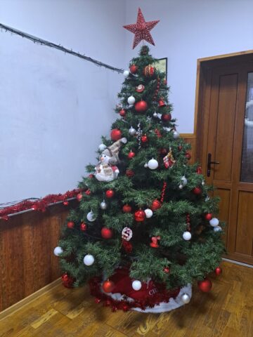 Concursul brazilor de Crăciun, la Colegiul „Spiru Haret” Suceava