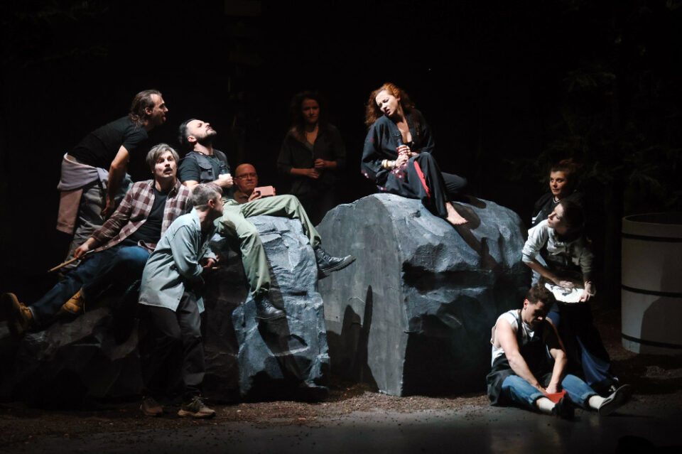 Ultima reprezentație a anului la Teatrul „Matei Vișniec” Suceava Ultima reprezentație a anului la Teatrul „Matei Vișniec” Suceava