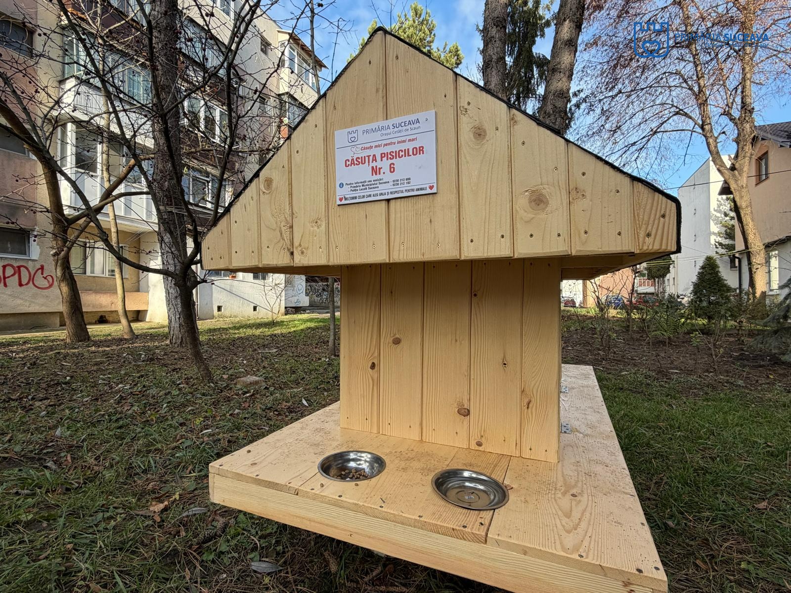 Primii ocupanți ai căsuțelor pentru pisici amplasate de Primăria Suceava printre blocuri