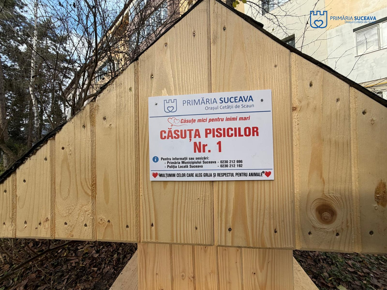 Primii ocupanți ai căsuțelor pentru pisici amplasate de Primăria Suceava printre blocuri