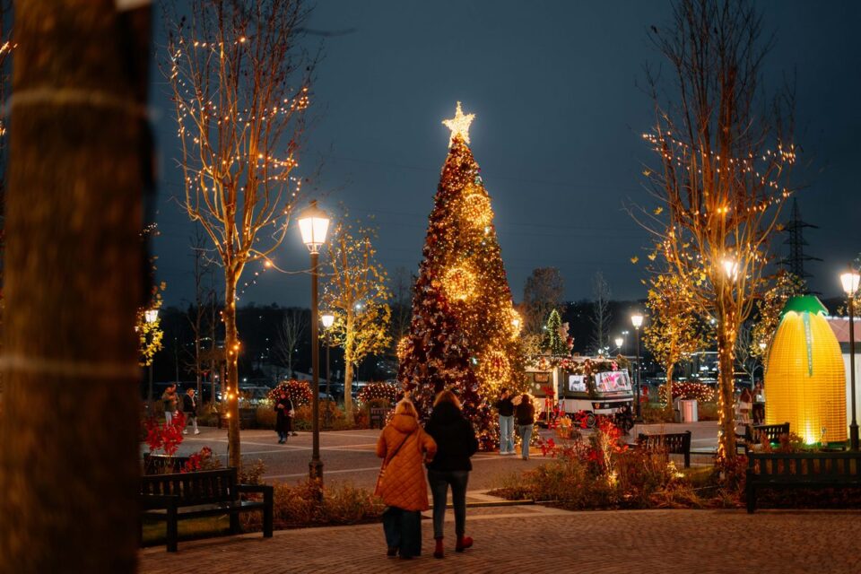 Iulius Mall Suceava, destinația ideală de shopping în acest sezon: cadouri de Crăciun la prețuri accesibile și decoruri de poveste