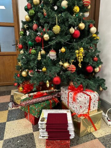 Premiul “Ernst Rudolf Neubauer” pentru cei mai merituoși absolvenți ai Colegiului “E. Hurmuzachi”