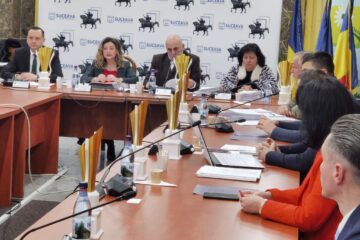 Licitațiile pentru parcările de domiciliu în municipiul Suceava se vor organiza etapizat, pe măsura amenajării acestora