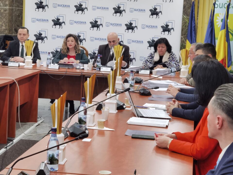 Licitațiile pentru parcările de domiciliu în municipiul Suceava se vor organiza etapizat, pe măsura amenajării acestora