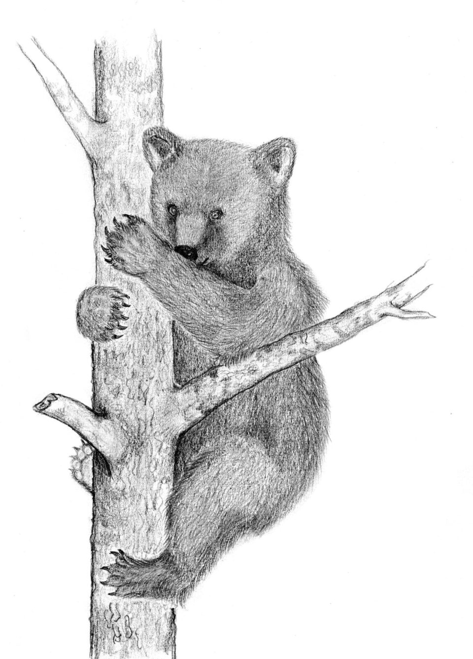 Copilul invizibil, chipul diverselor vânători, al trofeelor și reziliența