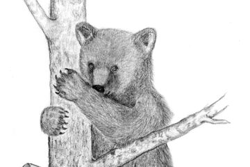 Copilul invizibil, chipul diverselor vânători, al trofeelor și reziliența