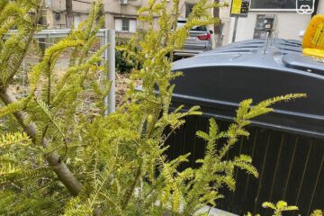 Taxa de salubrizare, majorată cu aproape 70 la sută în 2026, în municipiul Suceava