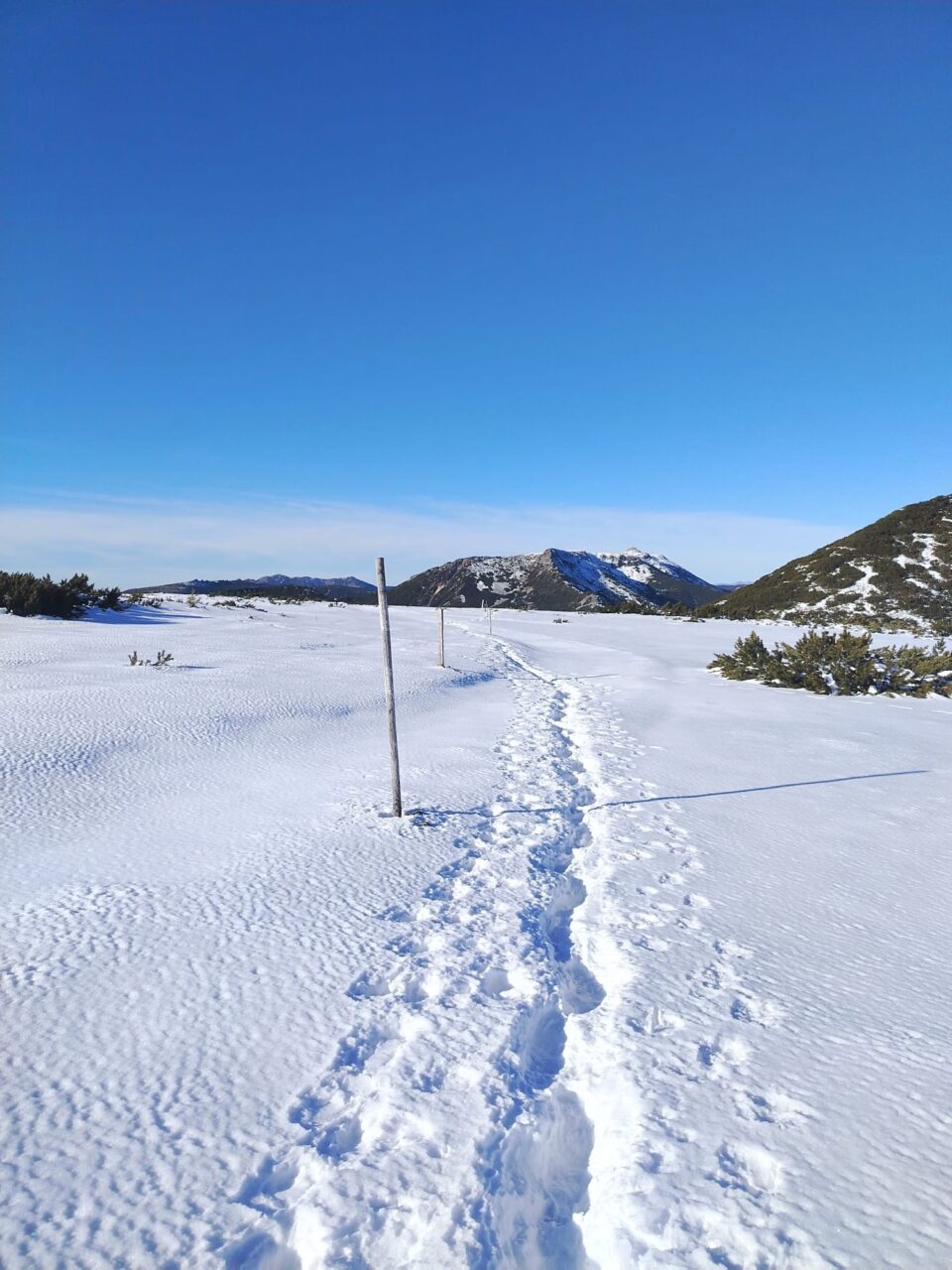 Zăpada viscolită în zona de munte ajunge și la jumătate de metru