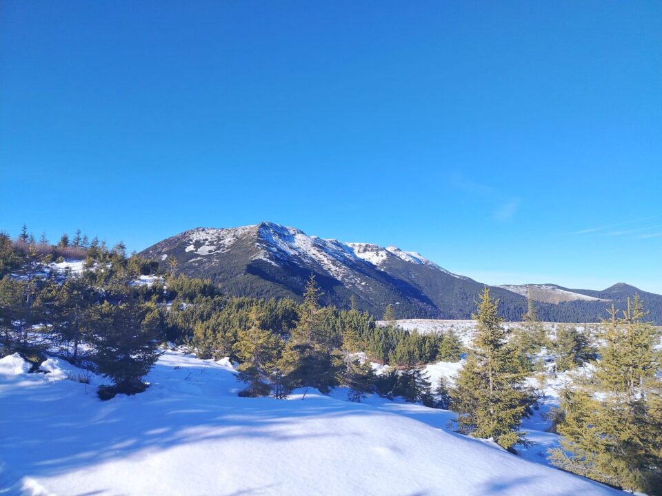 Zăpada viscolită în zona de munte ajunge și la jumătate de metru