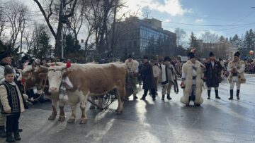 Suceava a găzduit și anul acesta cel mai mare festival de datini și obiceiuri de iarnă din țară, urmărit de mii de suceveni și turiști