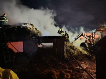 Două bovine și 2.000 de baloți s-au făcut scrum în urma unui incendiu