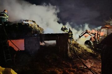 Două bovine și 2.000 de baloți s-au făcut scrum în urma unui incendiu