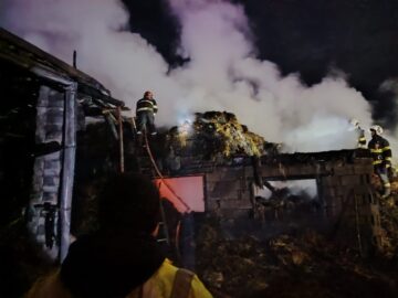 Două bovine și 2.000 de baloți s-au făcut scrum în urma unui incendiu