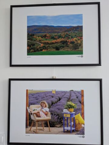 Membrii Clubului Fotografilor Suceveni au expus la Galeria de artă „Zamca”. „Între clipă și tăcere”