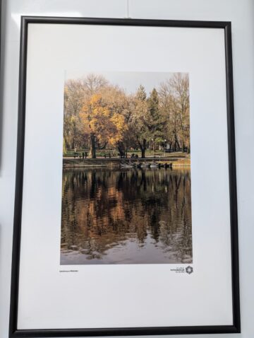 Membrii Clubului Fotografilor Suceveni au expus la Galeria de artă „Zamca”. „Între clipă și tăcere”