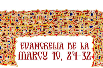 Evanghelia zilei Evanghelia zilei