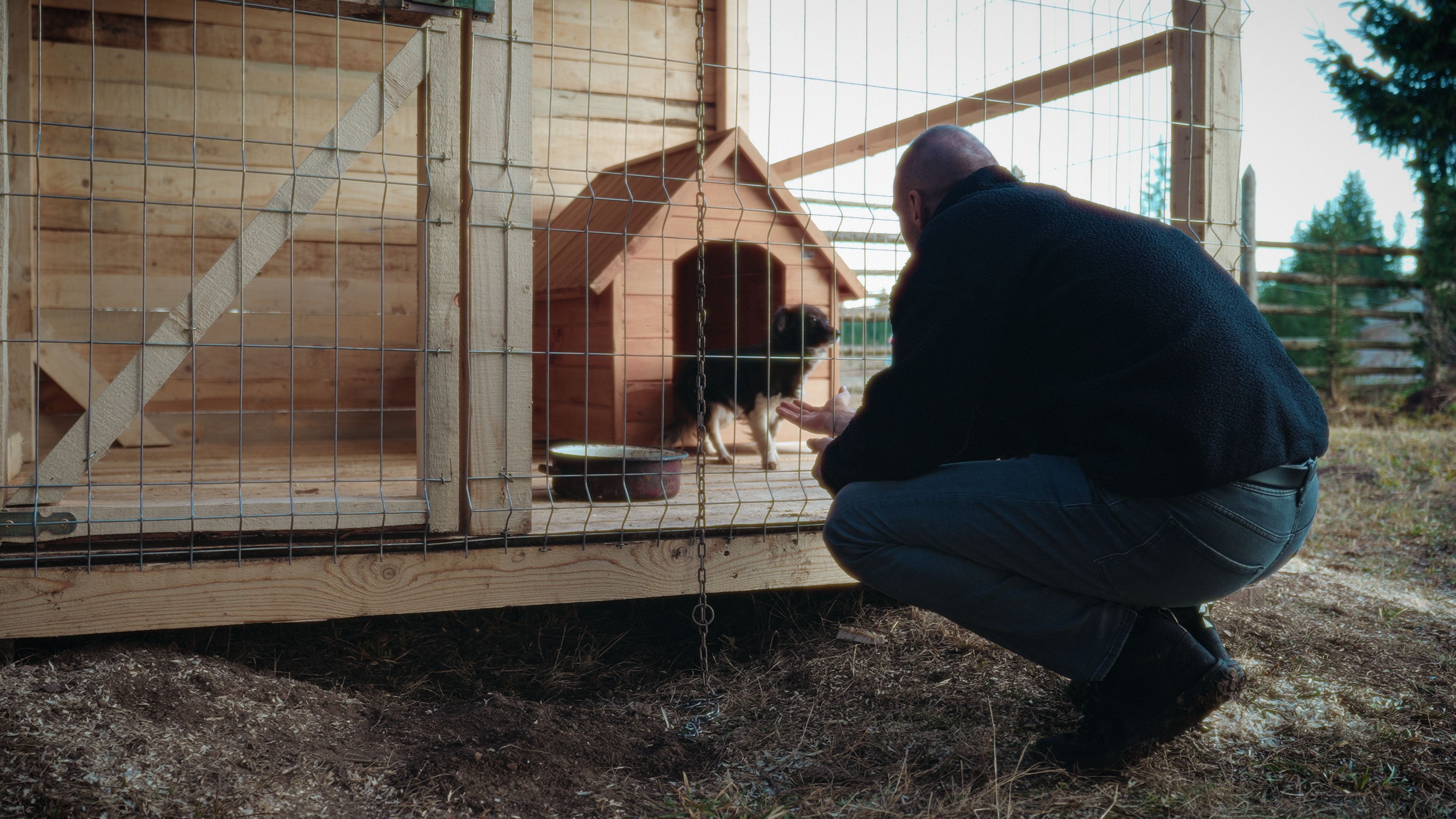 Antreprenorul sucevean Ștefan Mandachi a scos din lanț toți câinii din satul Catrinari, comuna Panaci
