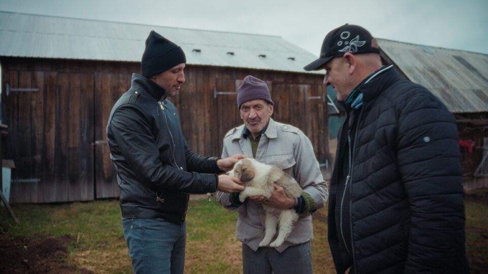 Omul de afaceri Ștefan Mandachi a scos din lanț câinii din satul sucevean Catrinari