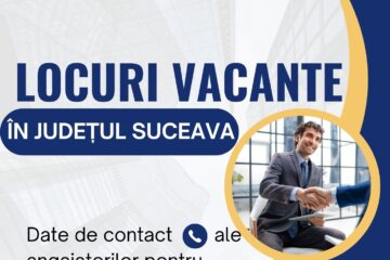 Rata șomajului din Suceava a crescut ușor, dar liniar, și a depășit dublul mediei naționale