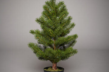 „Sobe şi maşini de gătit din tablă”