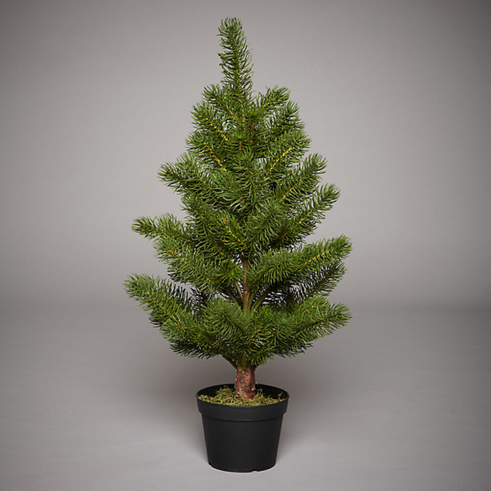 „Sobe şi maşini de gătit din tablă”