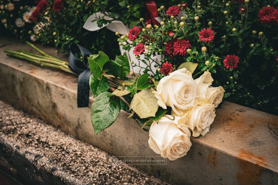 Matei Cozma, lacrima ce s-a statornicit în cer