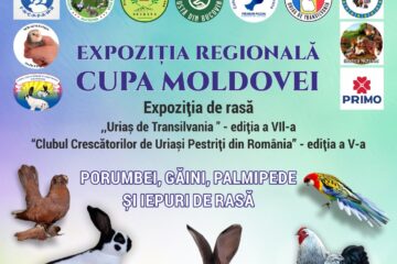 Expoziție de porumbei, găini, palmipede și iepuri de casă, la Todirești