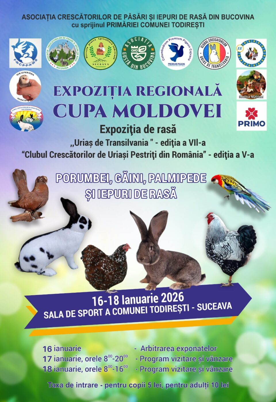 Expoziție de porumbei, găini, palmipede și iepuri de casă, la Todirești
