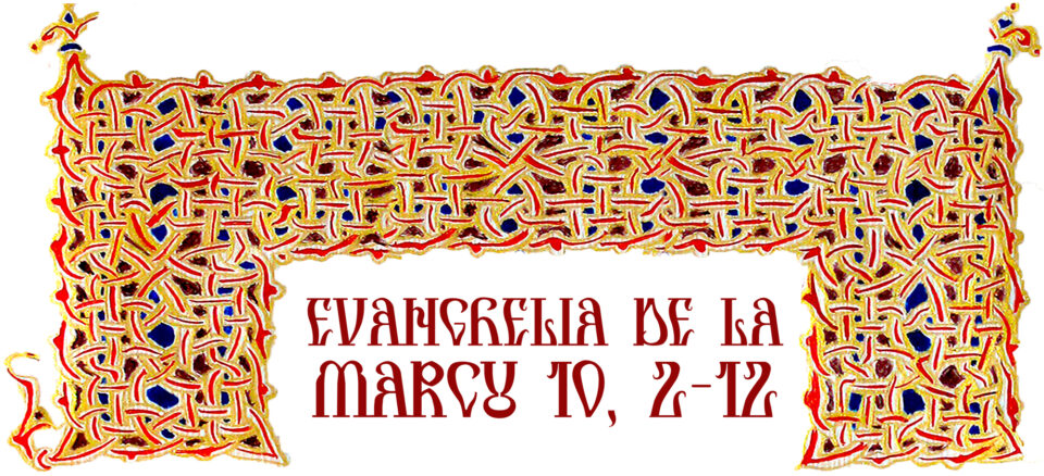 Evanghelia zilei Evanghelia zilei