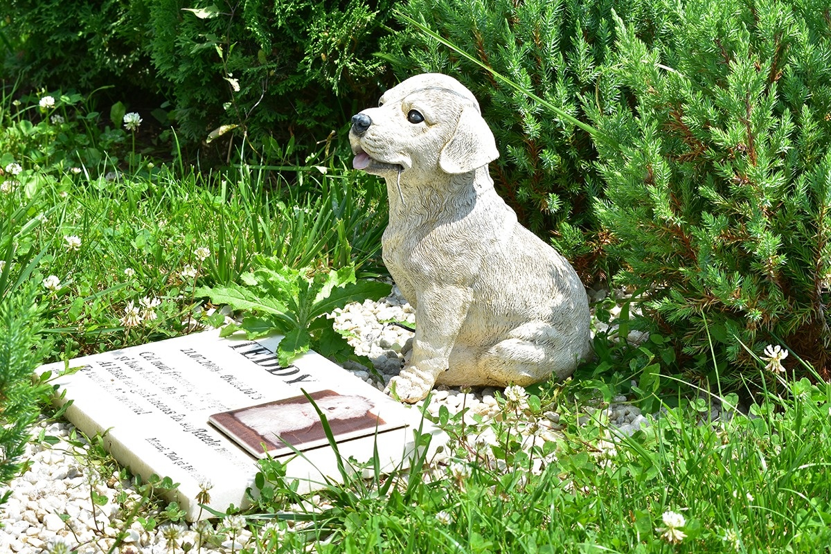 Cimitirul Raiul animalelor, din Ilfov