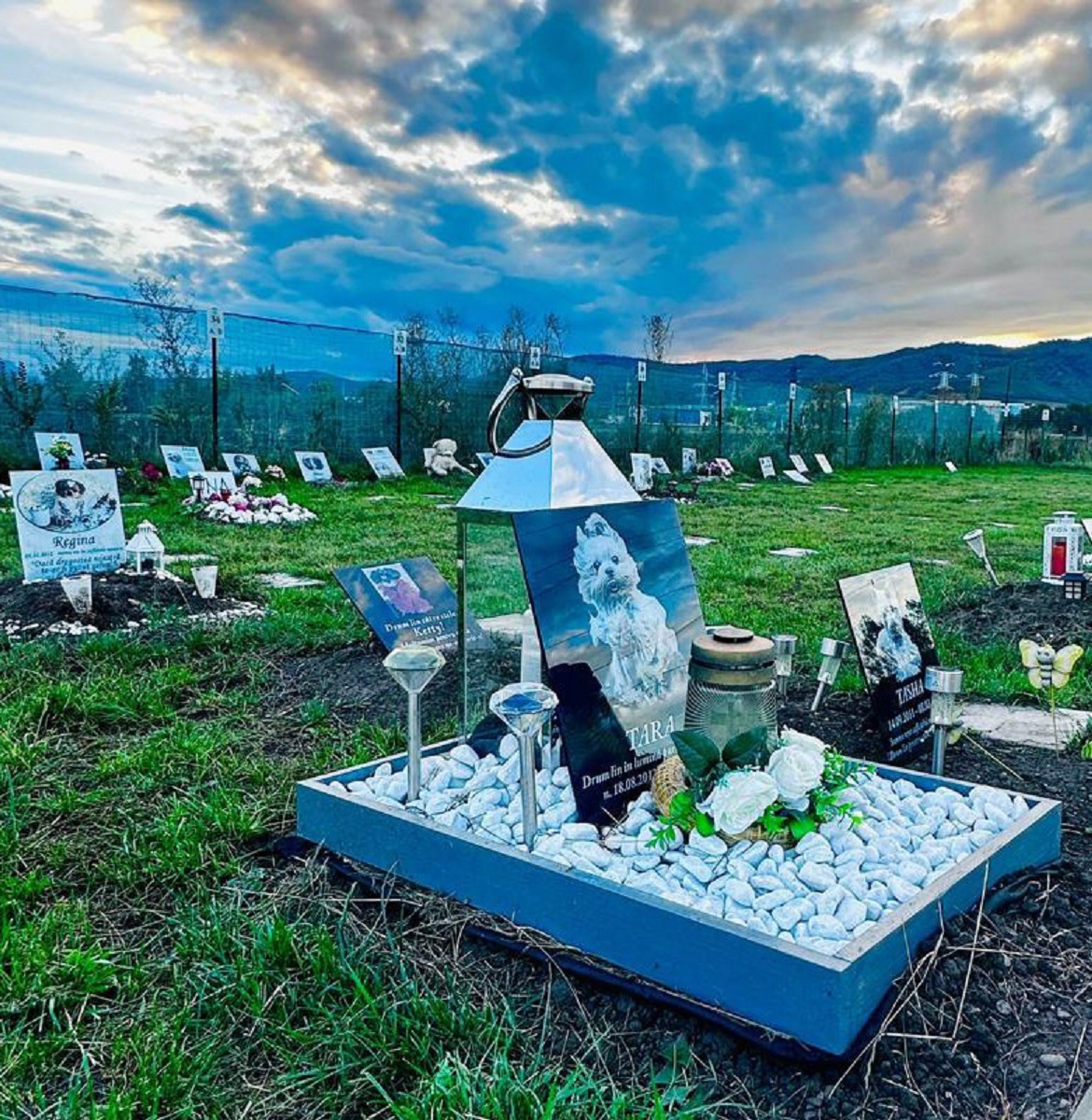 Cimitir de animale din Hunedoara