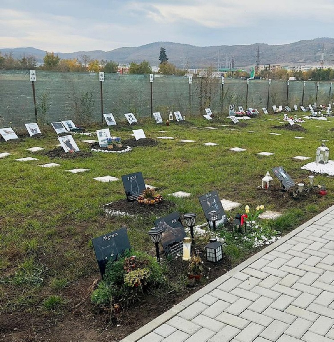 Cimitir de animale din Hunedoara