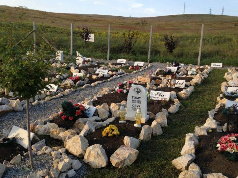 Cimitir de animale din Hunedoara