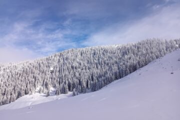 Zăpada la munte ajunge chiar și la doi metri, iar mai multe trasee turistice nu sunt recomandate Zăpada la munte ajunge chiar și la doi metri, iar mai multe trasee turistice nu sunt recomandate