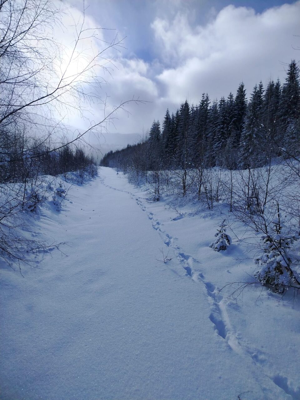 Zăpada la munte ajunge chiar și la doi metri, iar mai multe trasee turistice nu sunt recomandate