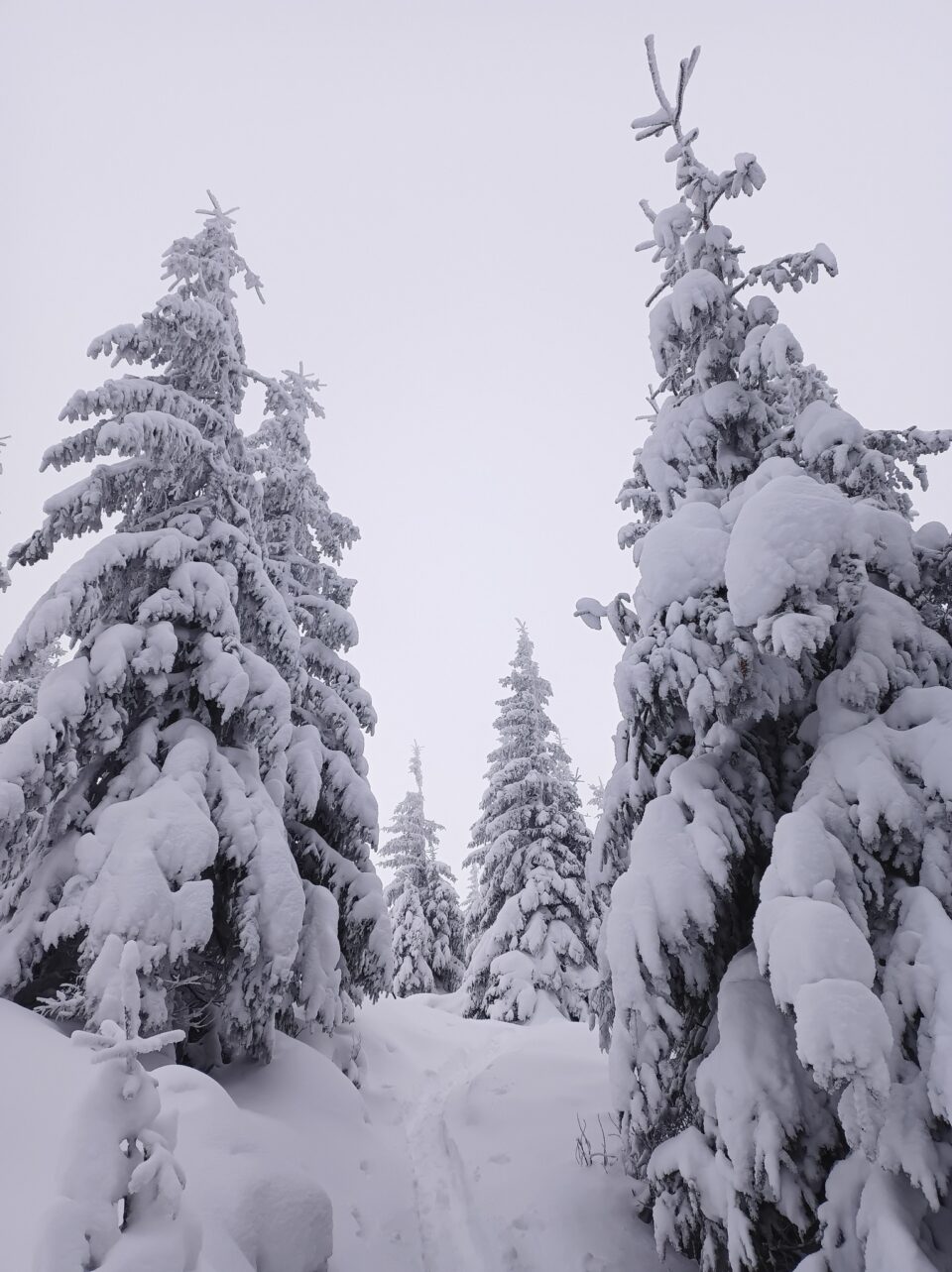 Zăpada la munte ajunge chiar și la doi metri, iar mai multe trasee turistice nu sunt recomandate