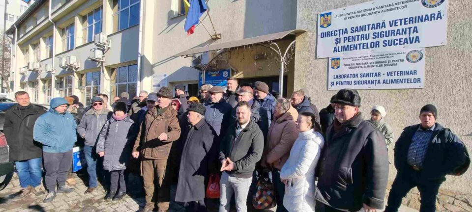80 de medici veterinari din județul Suceava, protest față de tăierile bugetare excesive